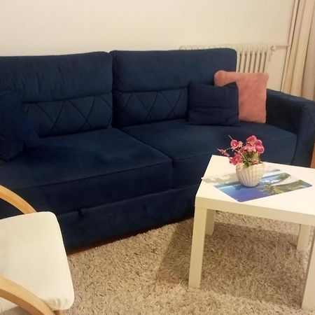 Apartment Mrc , Free Parking Bezanija Esterno foto